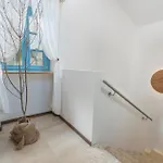 Kokola * Vilanija